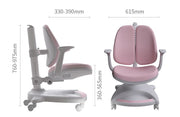 Ergonomic learning chair for children 兒童學習升降椅子 (C5)