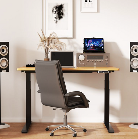 PRO V STANDING DESK-Black_White (E7-04W)