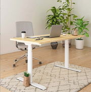 OVAL UP STANDING DESK-White (E8-03W)