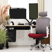 Zagen Office Chair (Red) Zagen辦公椅（紅色）