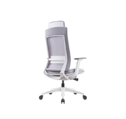 BOCK - Mesh Managerial Ergonomic Chair 人體工學辦公椅 (帶頭枕)